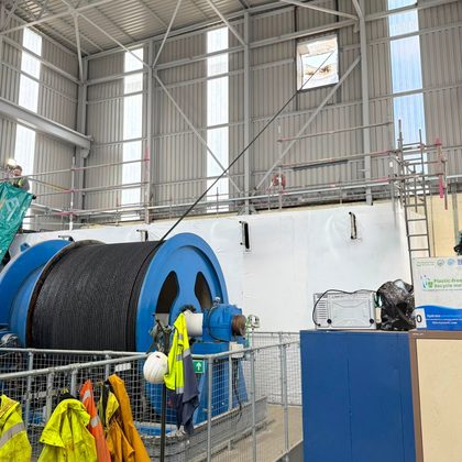 Clean working area around plant
